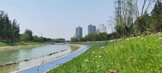 工程动态 保定市政府有关领导到保定黄花沟项目北湖公园视察